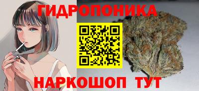 дмт Новодвинск