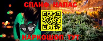 трава Новокубанск
