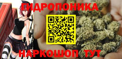 тгк Новозыбков