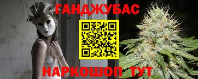 дмт Новодвинск