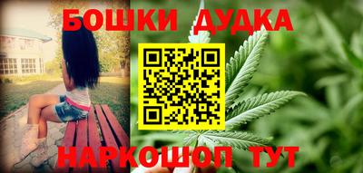 тгк Новозыбков