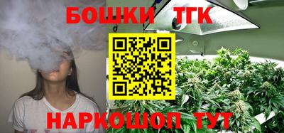 тгк Новозыбков