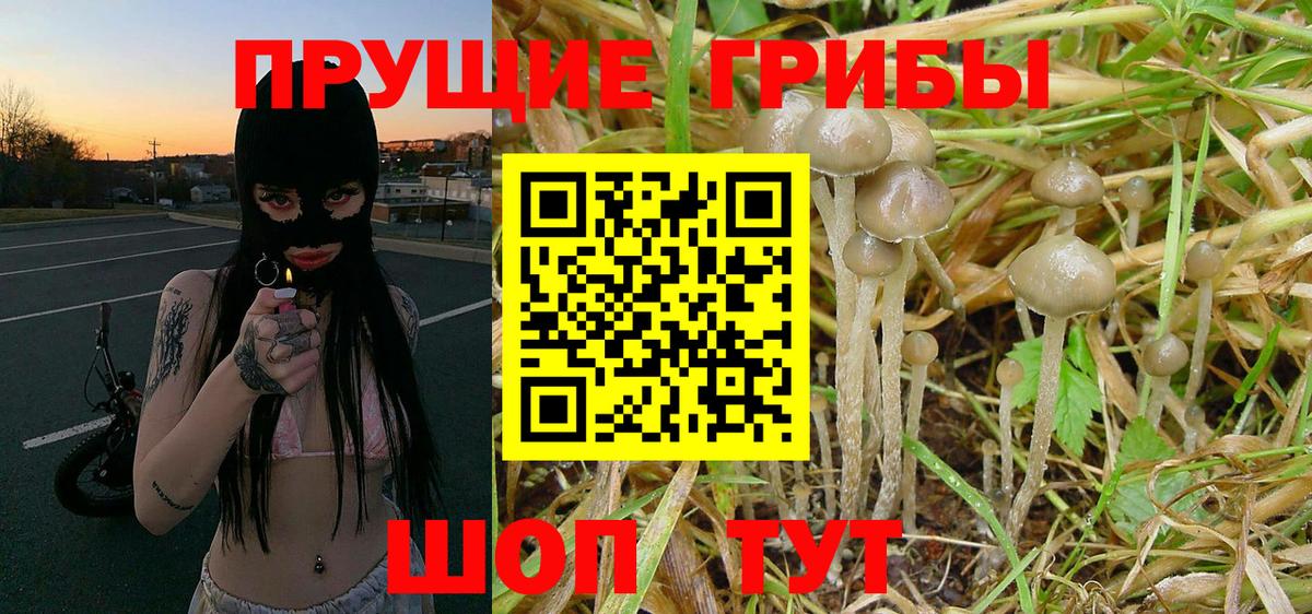 Галлюциногенные грибы MAGIC MUSHROOMS  Вход с VPN  Слободской 